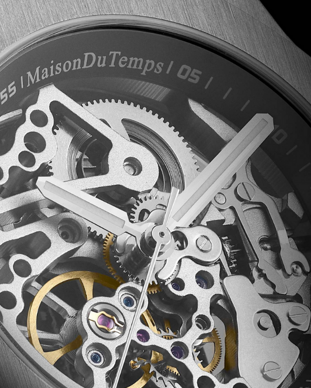 Seagull skeleton 2025